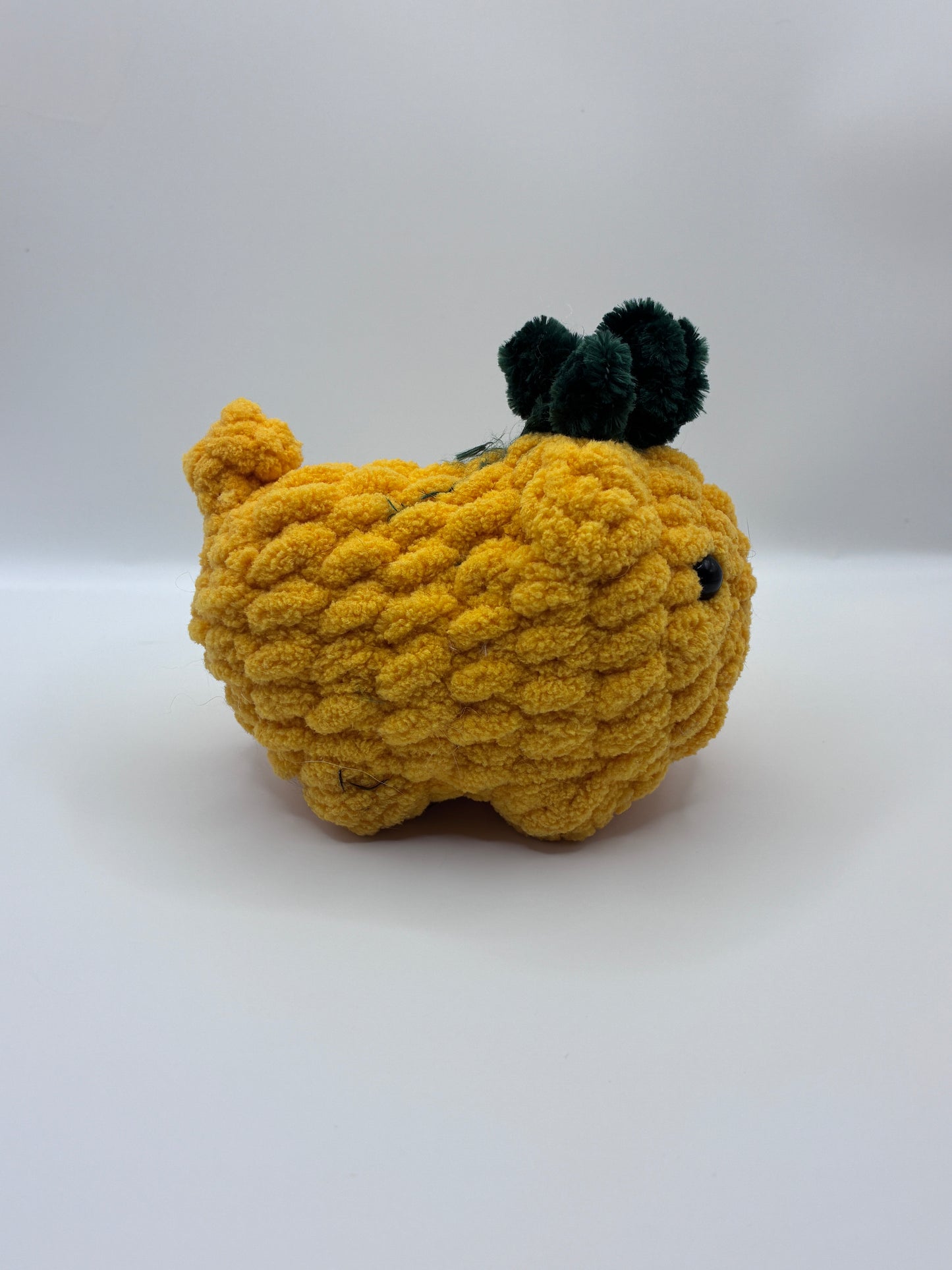 Pineapple Fruit Loaf Cat