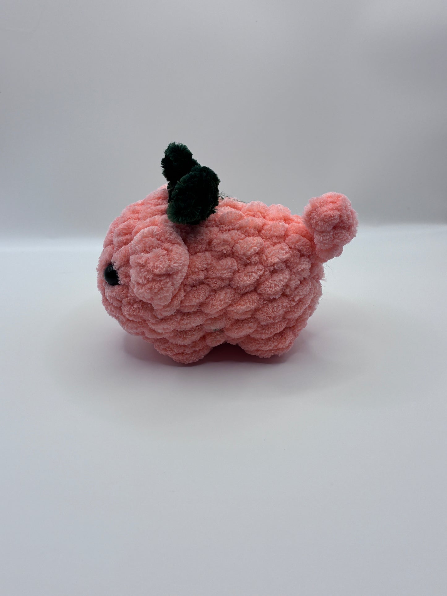 Peach Fruit Loaf Cat