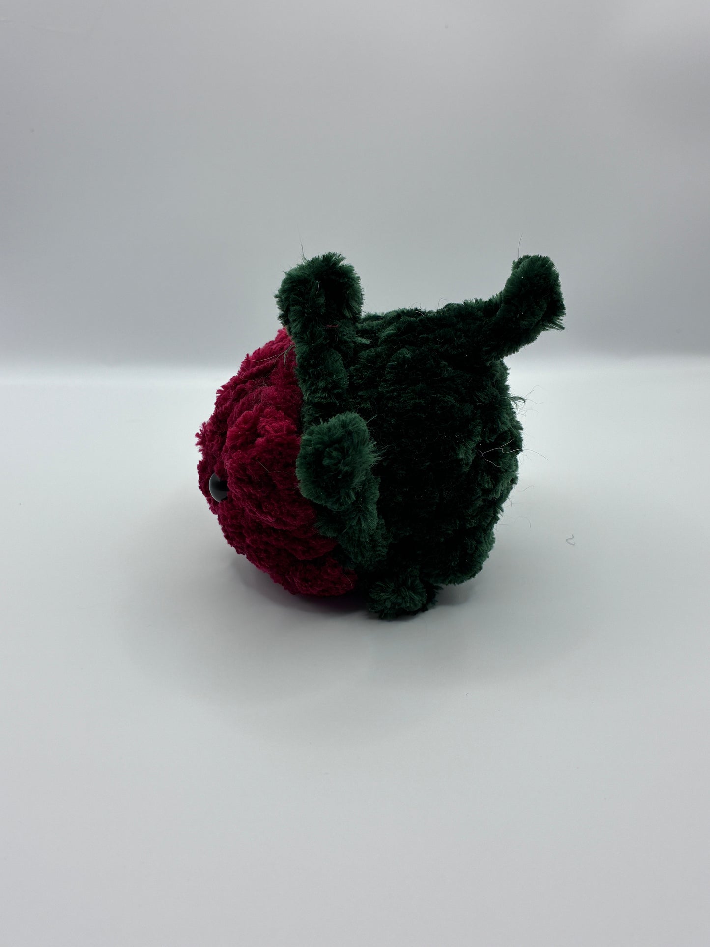 Strawberry Fruit Loaf Cat