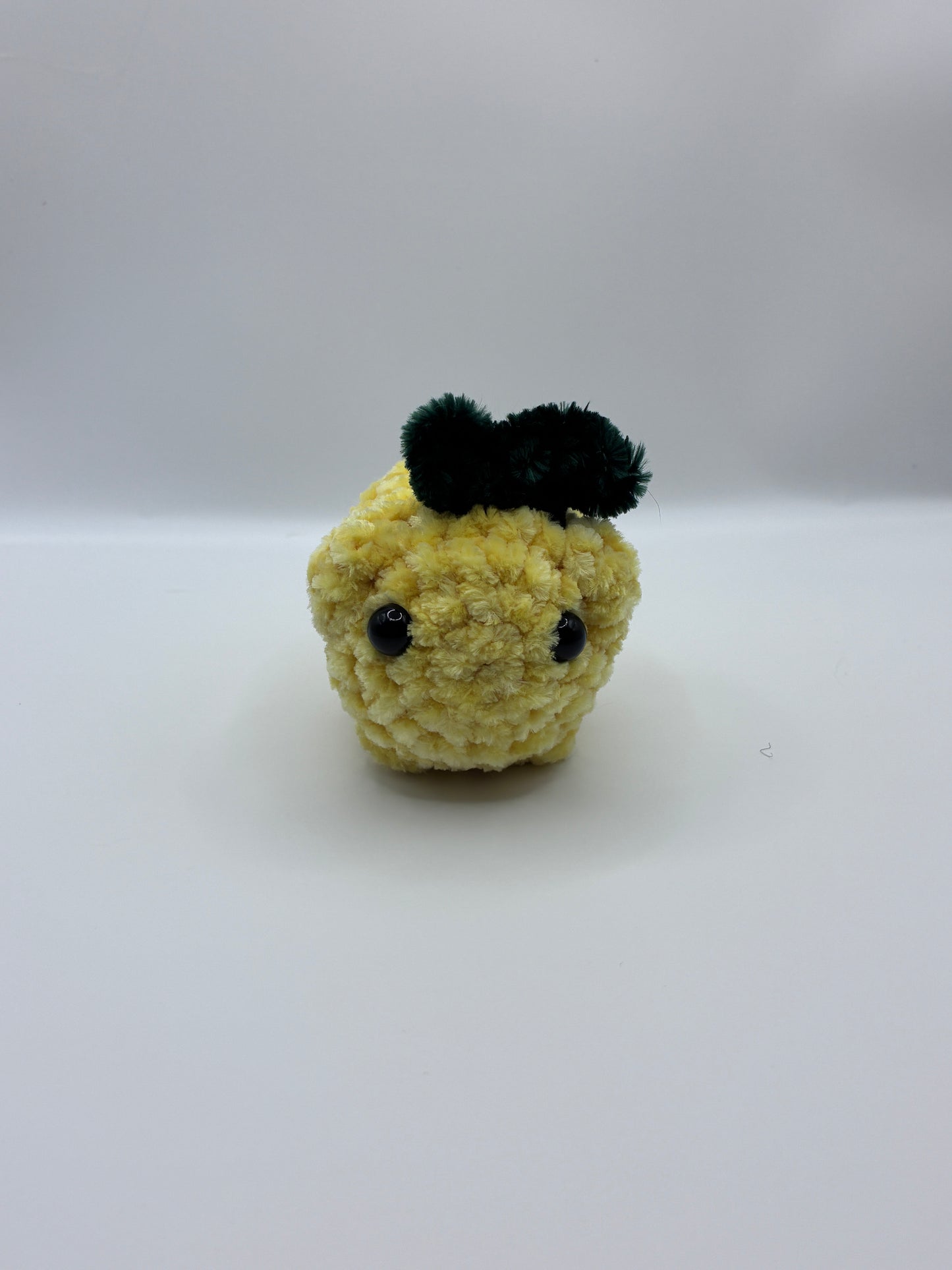 Lemon Fruit Loaf Cat