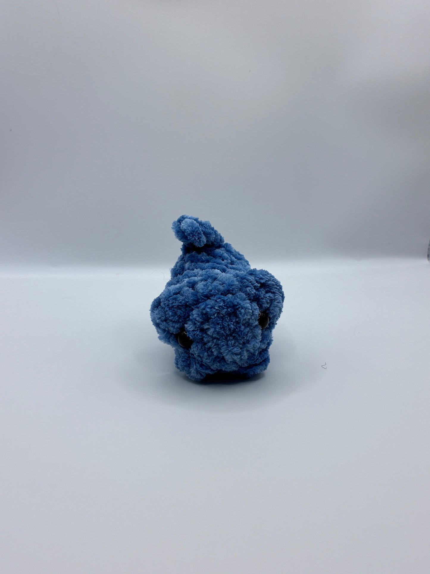 Mini Blueberry Fruit Loaf Cat