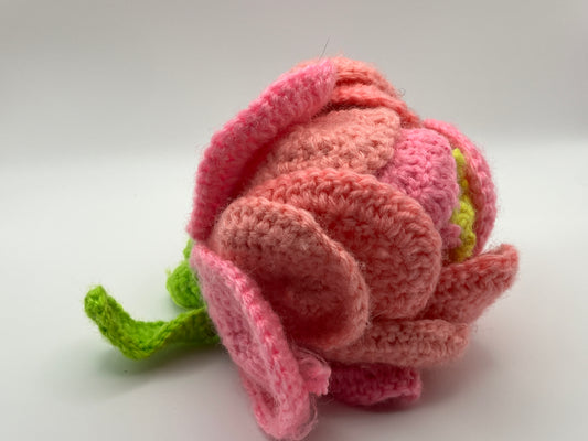 Reversible Fairy to Flower